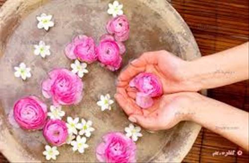 گلاب و اثرات اعجاب انگیز آن بر روی پوست